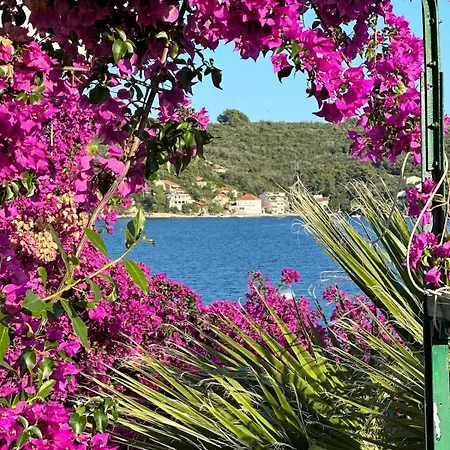 בית נופש House Jagoda -first Row To The Sea